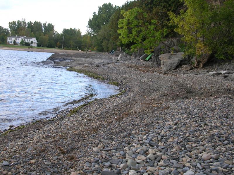 Looking North along our shore
